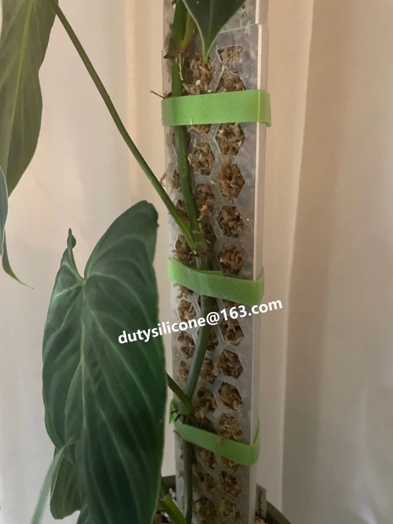 plastic Honeycomb Coir water Moss Poles Stick For Plant Stands column,climbing Indoor Plants Moss Poles Transparent