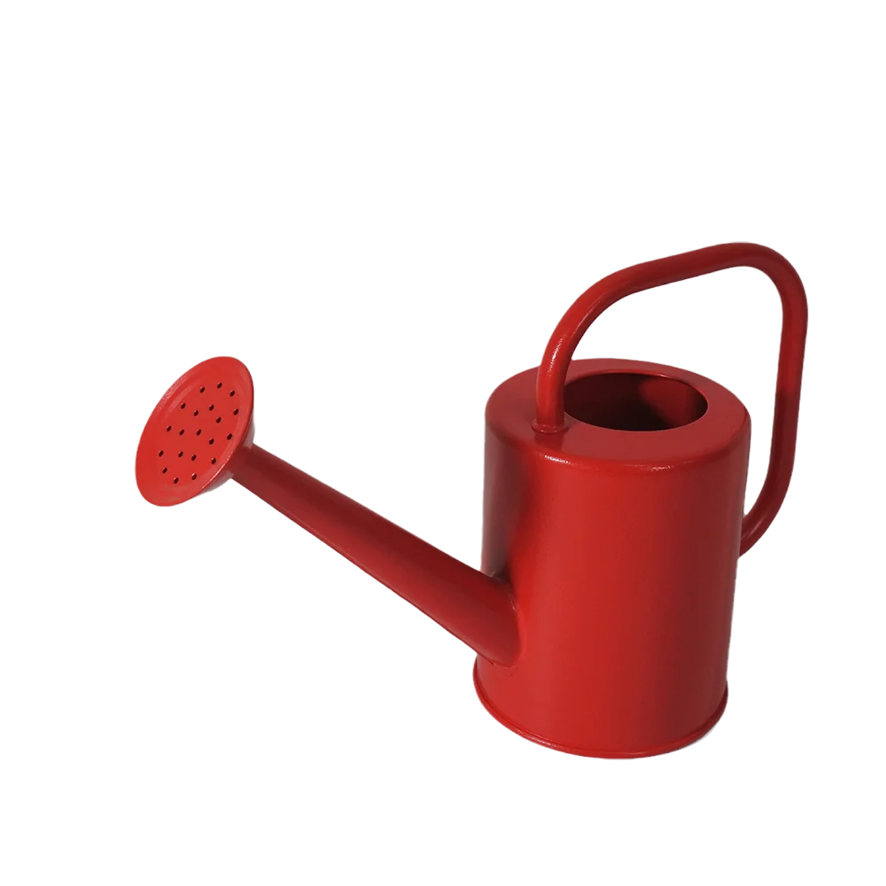 Metal Watering Can for Outdoor and Indoor