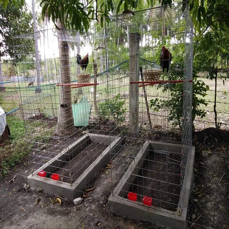  60x40x60 chicken cage/chicken pen/cages for
