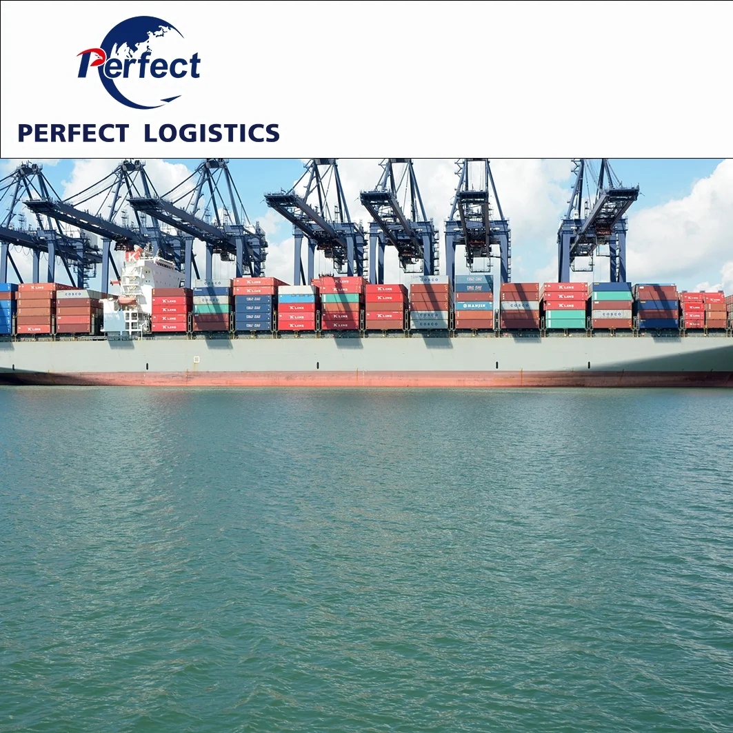 Fastest Logistic Courier Service China Express Shipping Forwarder to Singapore Dhl/ups/fedex/ddu Shipping Cost