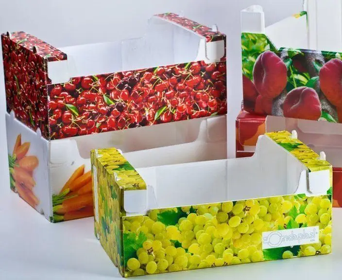 CAJA DE PLASTICO CORRUGADO plastic corrugated box for okra