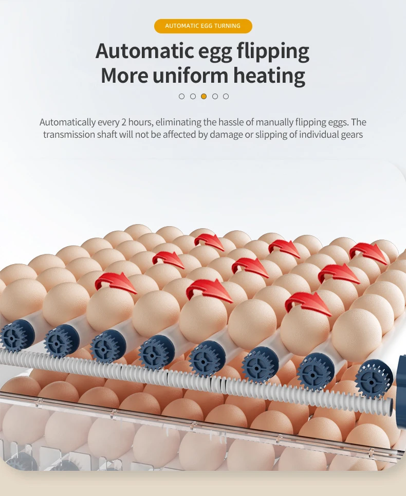 Fully Automatic Egg Incubators Small Incubators Hatching machine eggs Smart Chicken Egg Incubator For chick