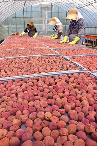 Слабый ароматизатор perilla beauty фрукты detox plum