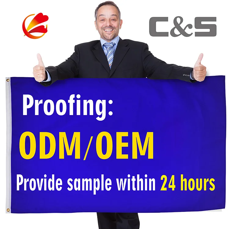 Big Promotion 2024 Vote flag  High Level Polyester 3x5 Ft Flag For American President  With Brass Grommets