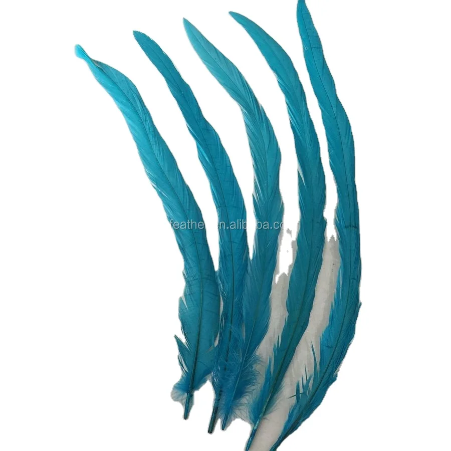 Wholesale colored Cock grizzly Rooster tail feathers Chicken Feather for Decorations