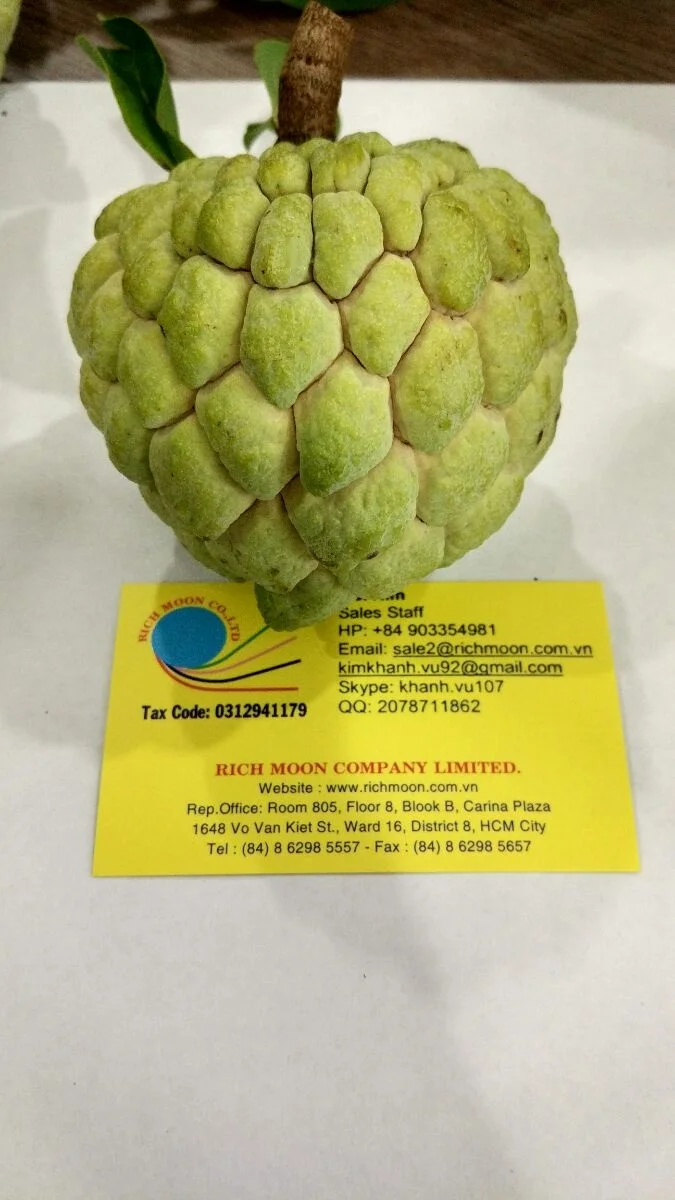 Свежие фрукты анноны-высокое качество и Лучшая цена 2022-свяжитесь с нами для получения дополнительной