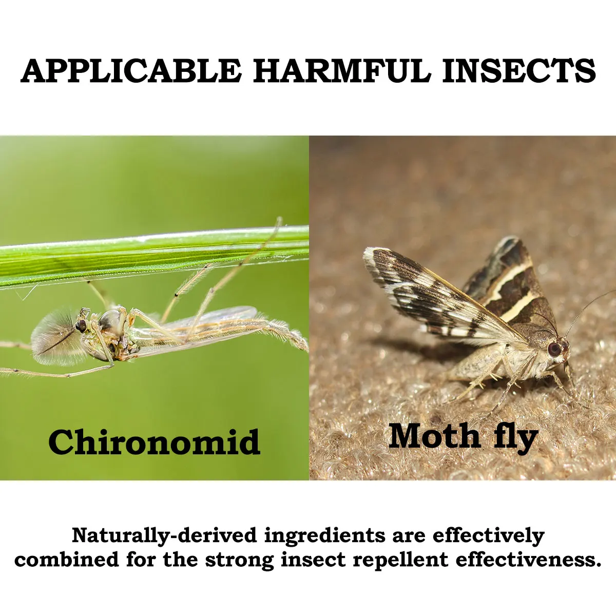 Air freshener fresh fruits scent gel beads 2021 new arrival