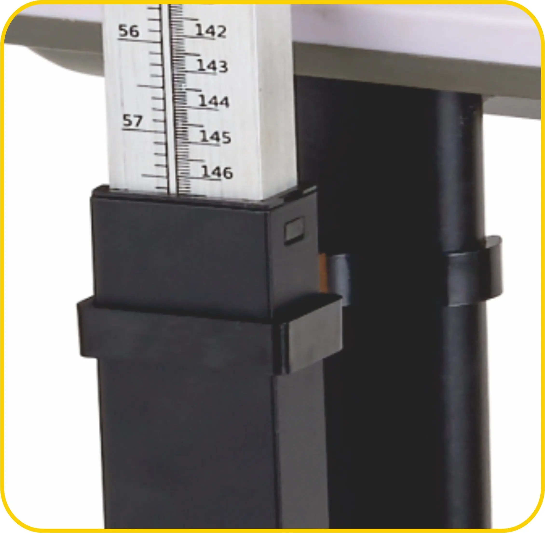 MS-A220 Platform Weighing Scales With Height Meter