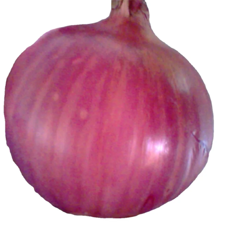 Whole Wholesale Red Yellow White Green Skin Crop Peeled Purple Organic Frozen Fresh Vegetable Onion Price From Factory Supplier