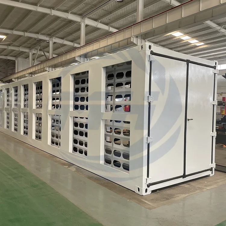 Custom energy reserves container offshore container 20ft shipping container