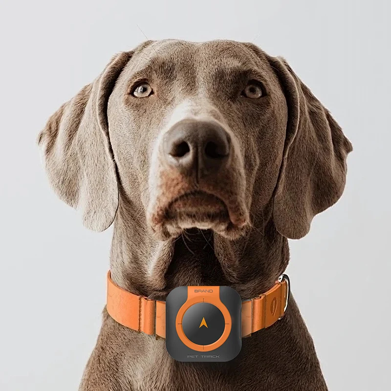 Pet Smart Mini GPS Tracker 4g Waterproof gpsTracker 4G use for Pet Dog Cat no platform fees Geo-Fence Dog Locator