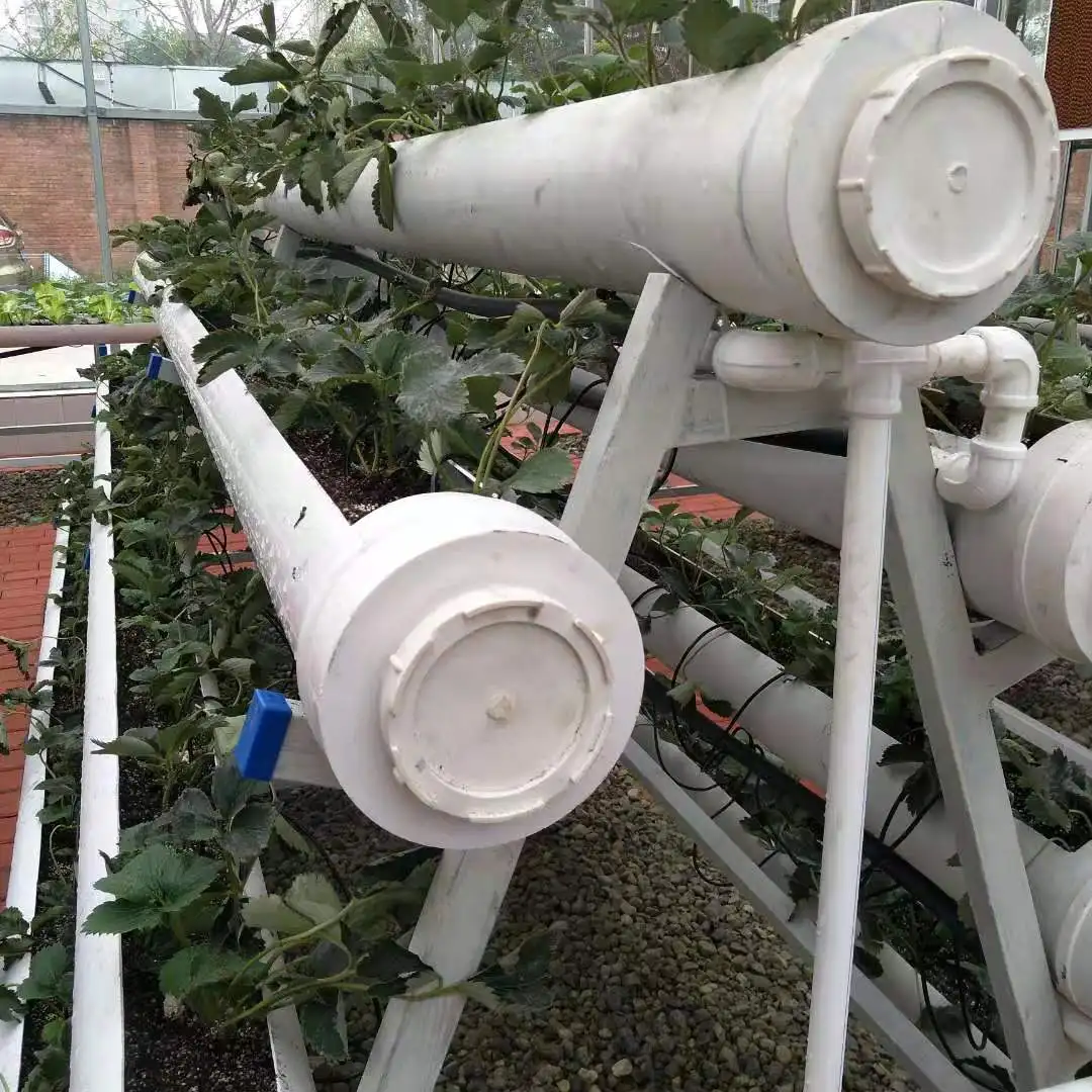 Customized size farm equipment troughs indoor hydroponic systems