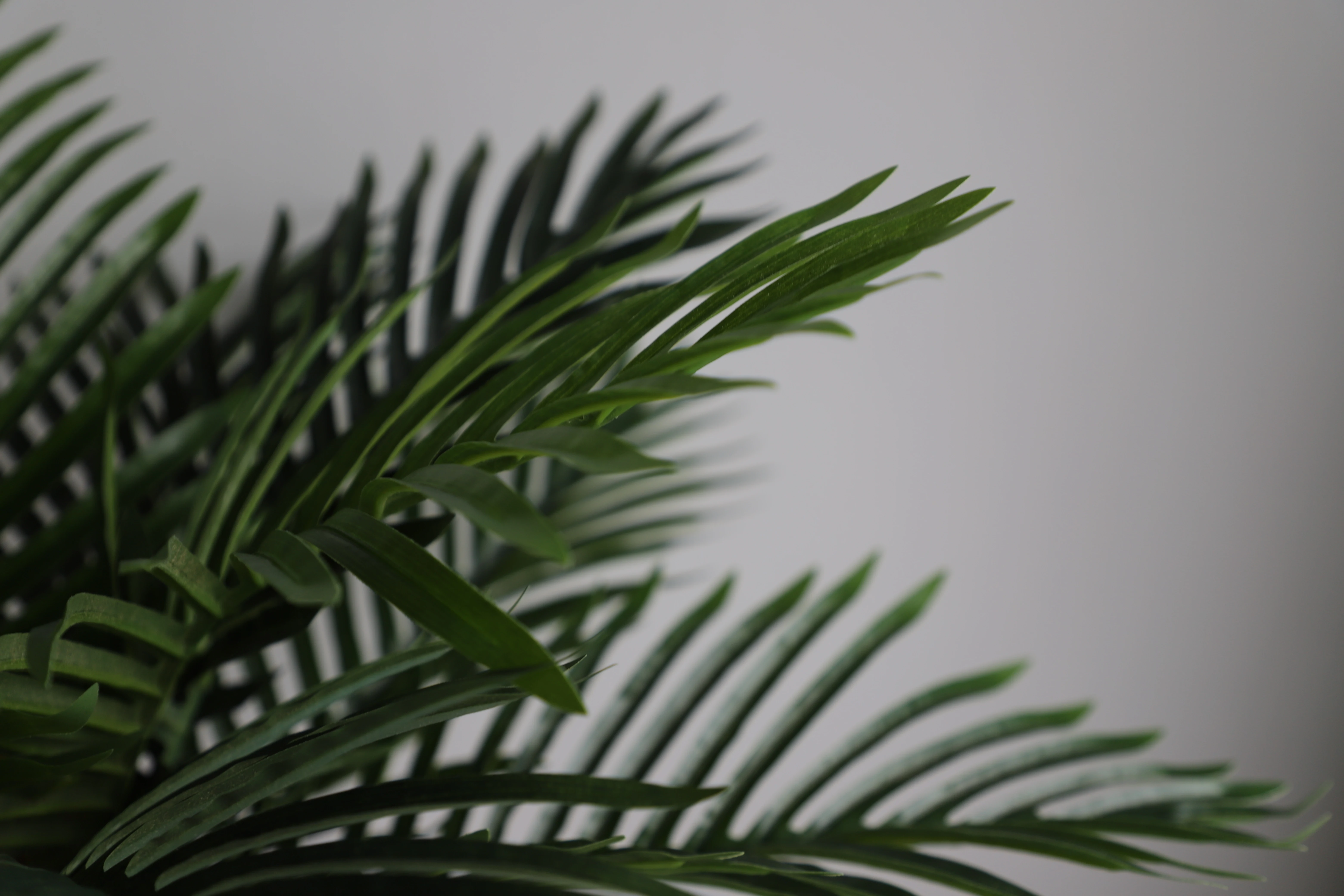 Fake Green Plants Plastic artificial Areca palm tree artificial plants phoenix palm tree with pot