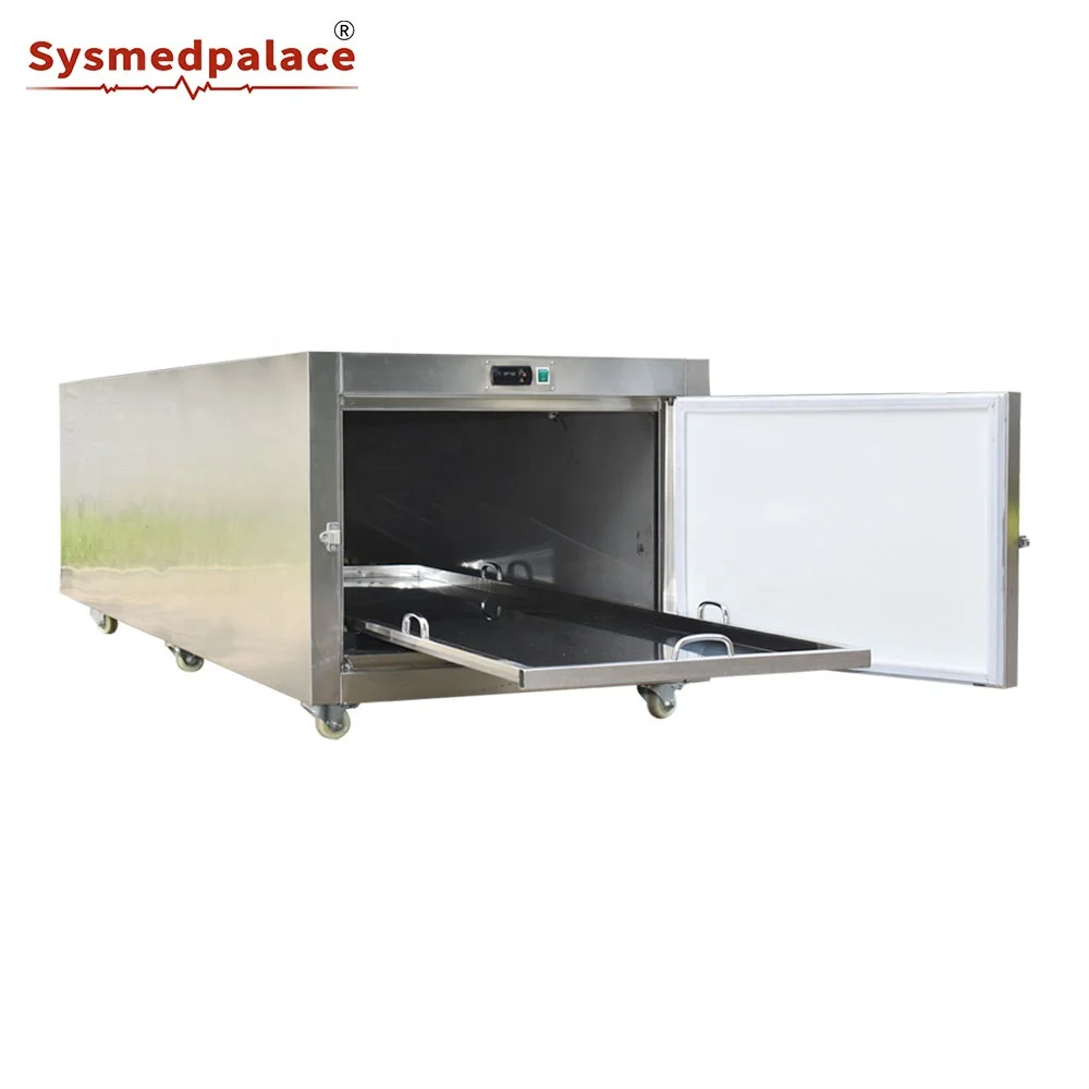 High Quality Body Cadaver Freezer In Stock Morgue Mobile Freezer Steel Morgue Freezer