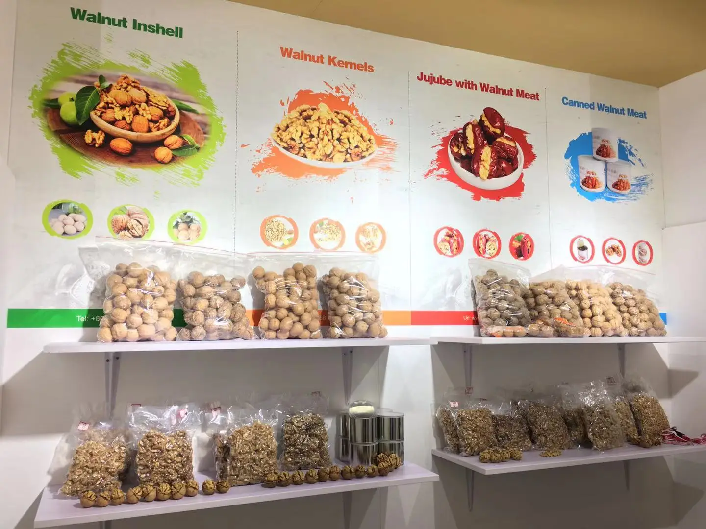Xin 2 walnut wholesale price for Expoter and impoter