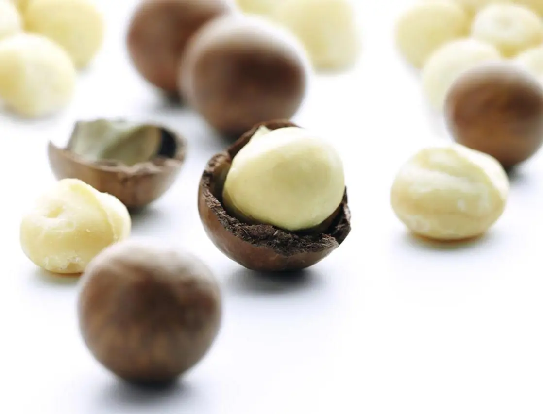 Macadamia Nuts Without Shell from Vietnam