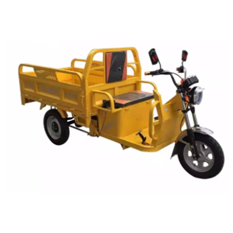 High quality Favorable Long Endurance Electric Supply the powerful 800W cheap electric tricycle to carry people and goods
