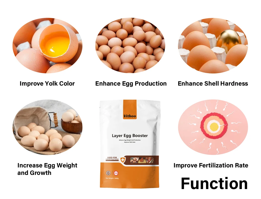 feed grade Lysine methionine 99.9% threonine tryptophan various amino acid China suppliers feed additives