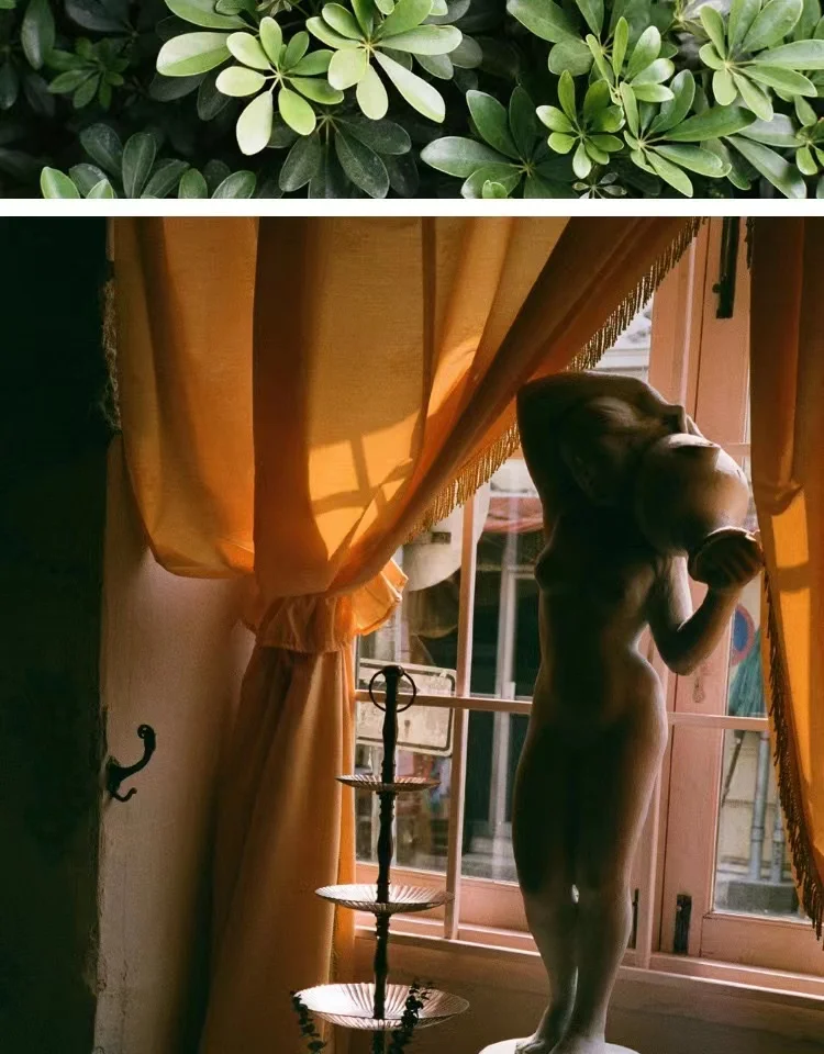 1 рулон VIBE Max 400 цветная пленка ISO 400 135 отрицательная пленка 27EXP/рулон для камеры VIBE 501F