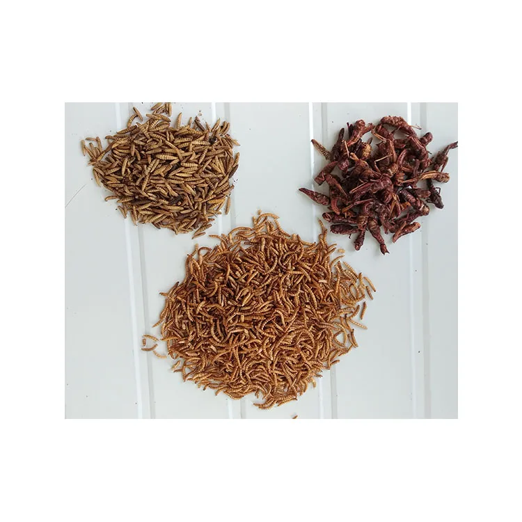  Сушеные mealworms для куриной еды с китайского завода