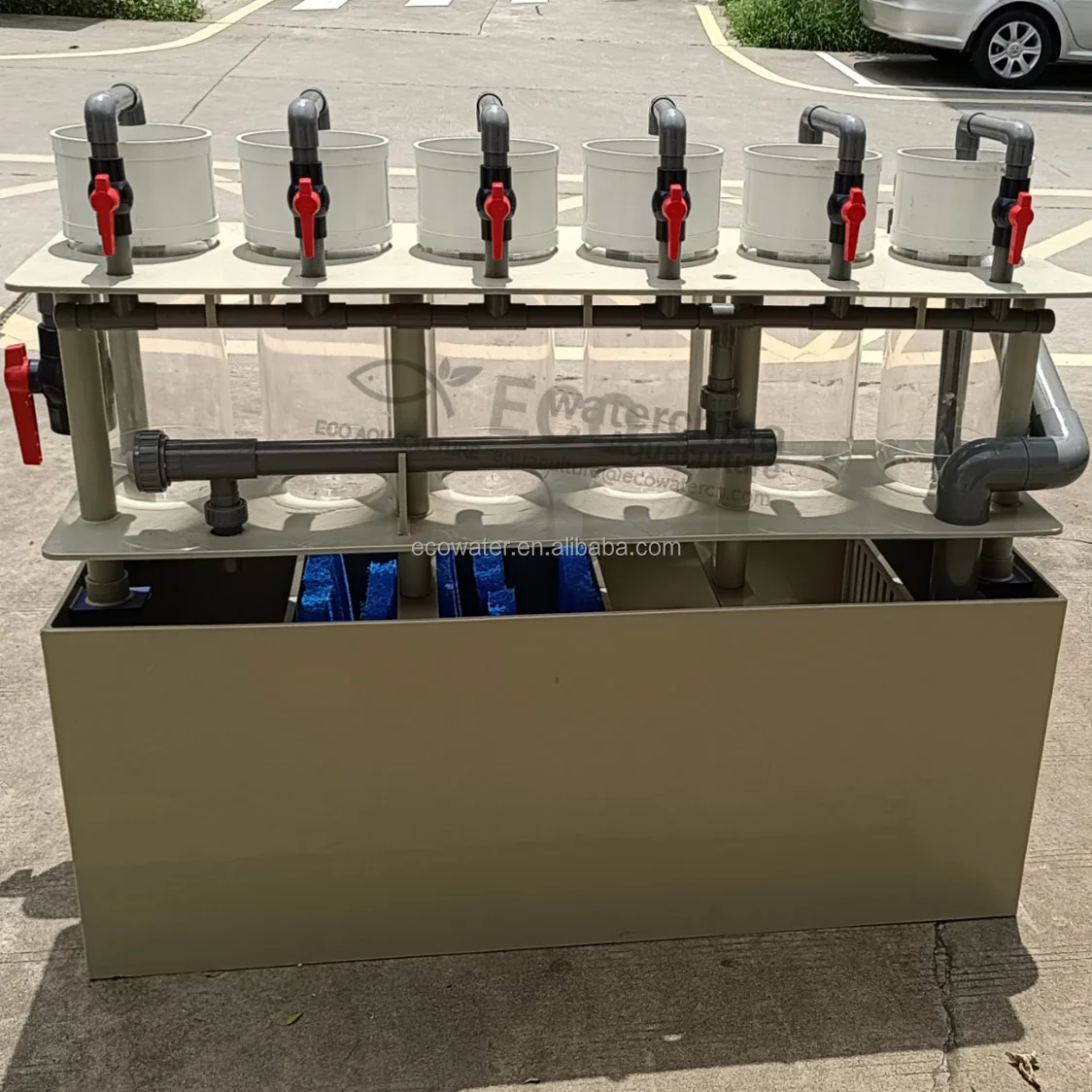 ECO  fish incubator for tilapia fish egg hatchery