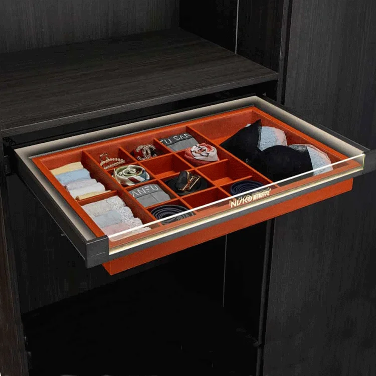 Aluminum Frame Hanging Clothes Wardrobe Leather Jewelry Tray Armoire Top Led Light Metal Customize