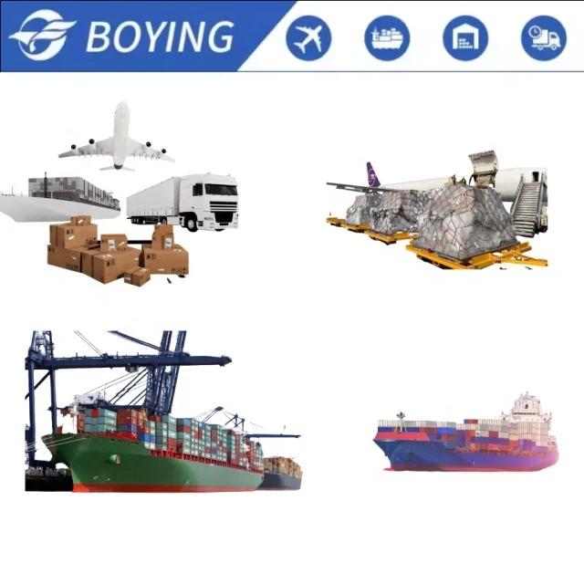 Sea Freight Forwarder Shipping Rates Shipment From China Shenzhen to San Francisco/Miami