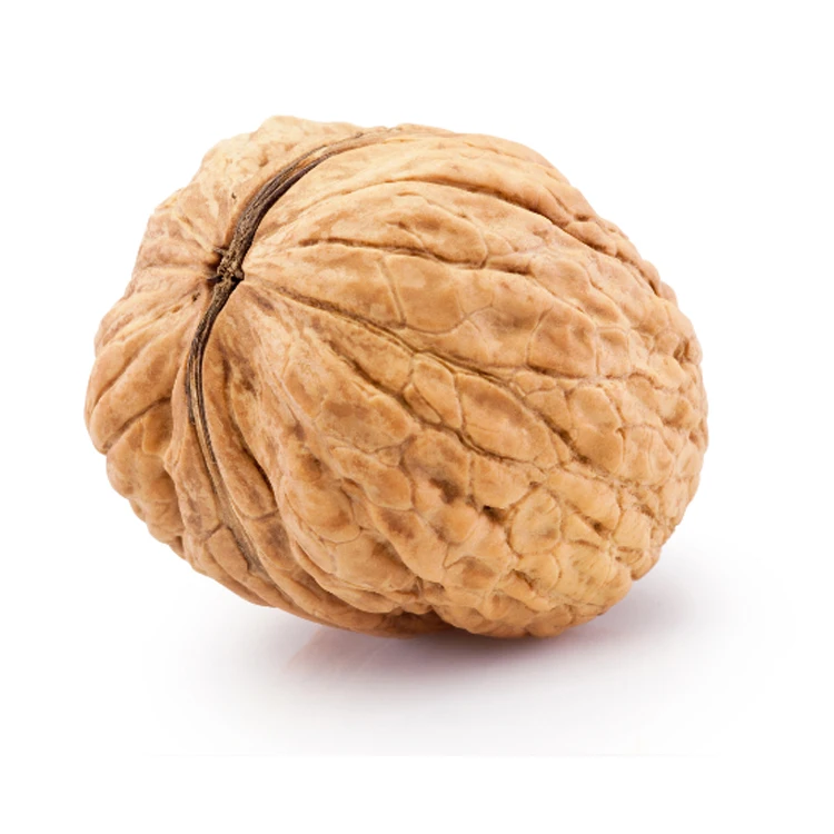 Xinjiang Thin Shell Lowest Price Plant Walnut Inshell Paper 33 Walnuts