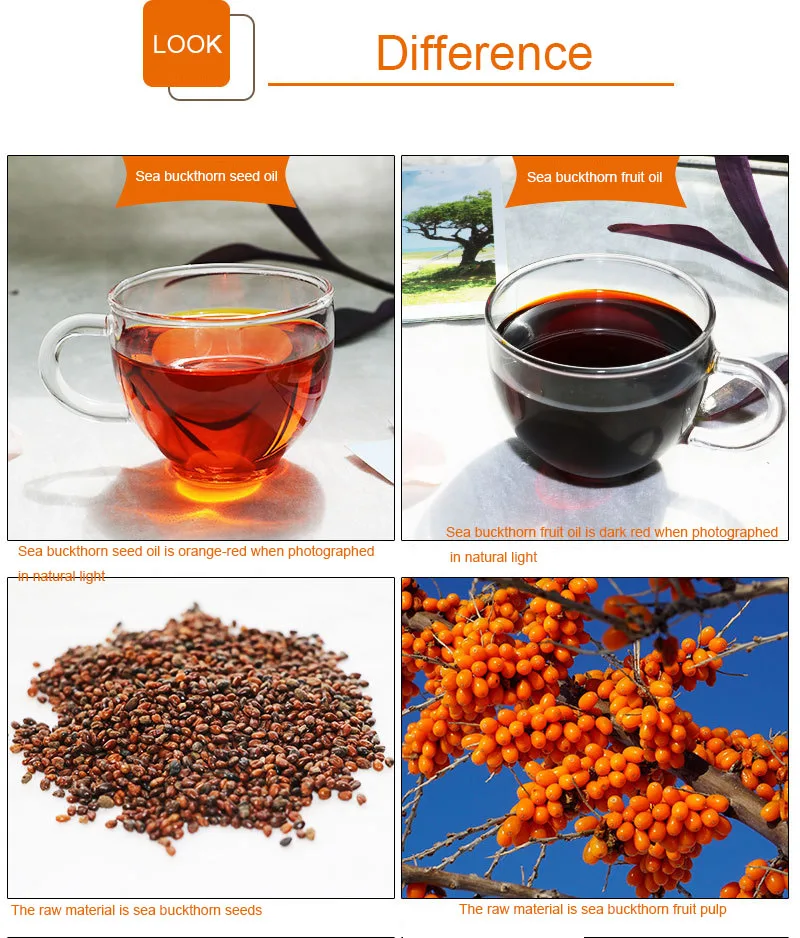 Sea Buckthorn Extract Omega 7 Seabuckthorm Seed Oil
