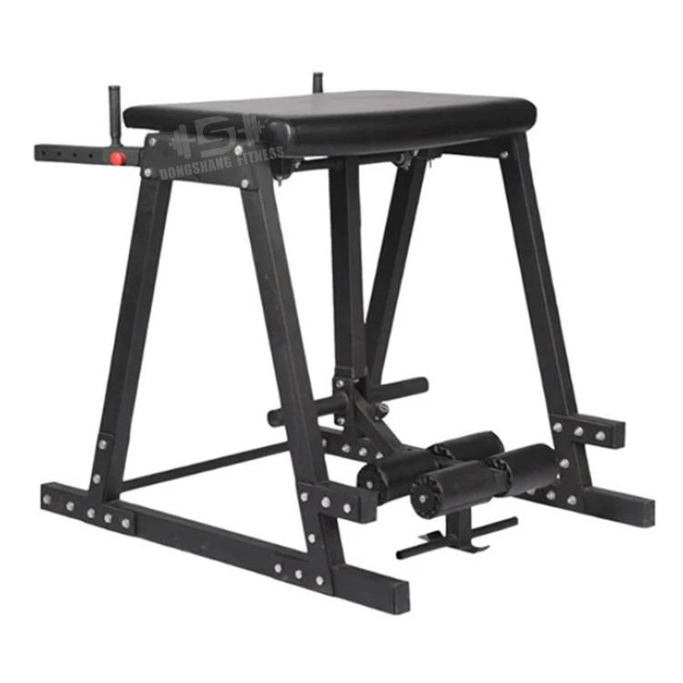 Customized Commerical Fitness Equipment Strength Reverse Hyper Extension Machine