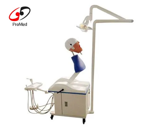 Electric oral training simulation manikin system (test desk optional)