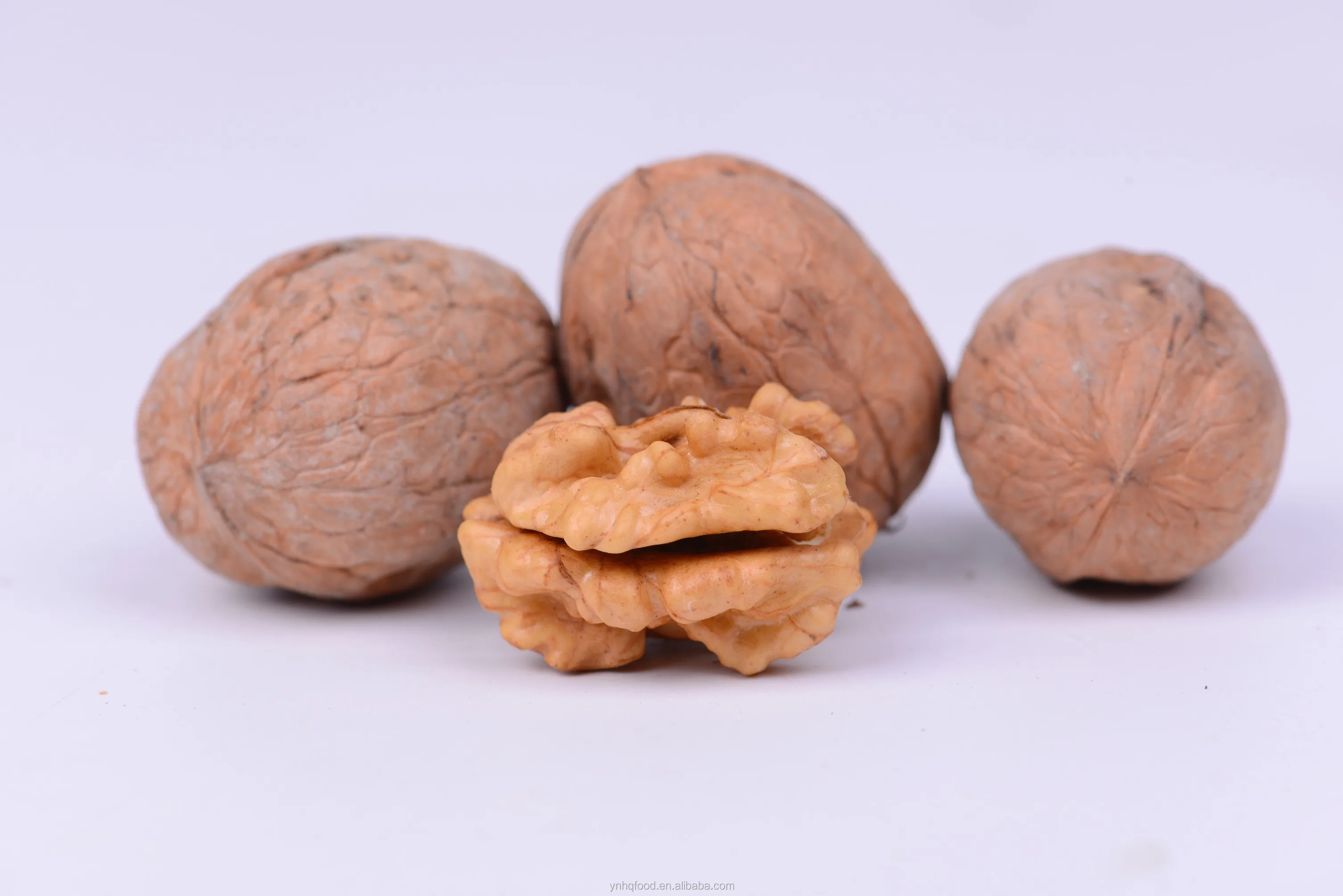 Бесплатные образцы nueces xinjiang сырые сухие грецкие орехи в