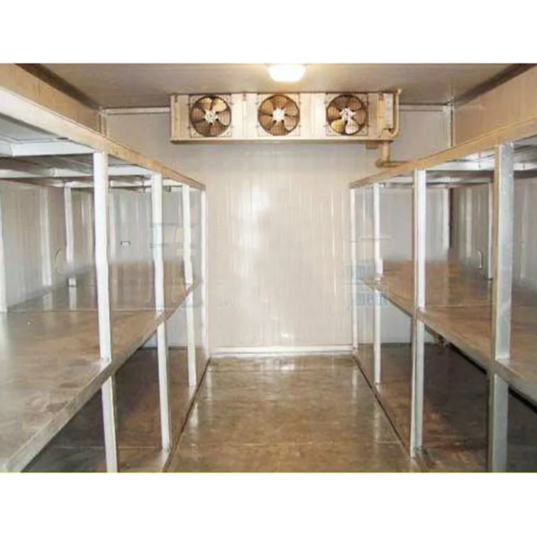 Low Price Energy Saving Banana Chamber Ripening 1-100 Tons Container Cold Room Freezer Room Cold Storage