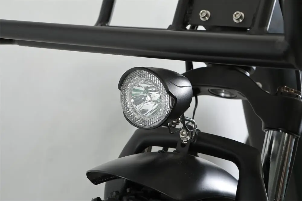 20 Inch Tricicle Electric Trike 750W Motor Fat Tire 3 Wheel E Bike Tricycle