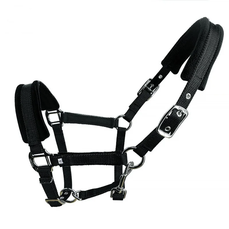 Hot Sale Durable B-rings Woven Polypropylene Material Livestock Horse Halters Multiple Colors Black Blue Red