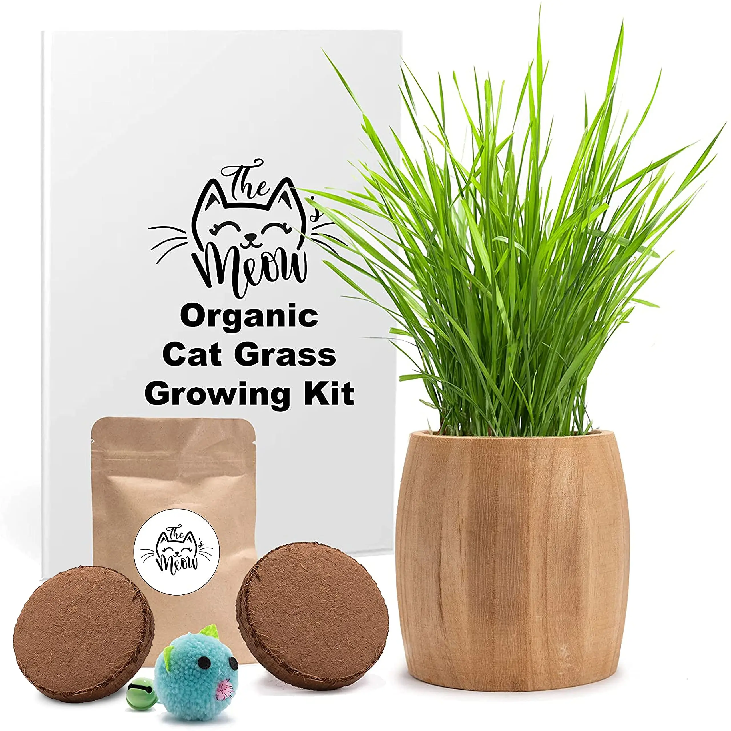 Organic Cat Grass Soil And  Cat Grass Growing Kit Disposable  Toy Gift To Cats