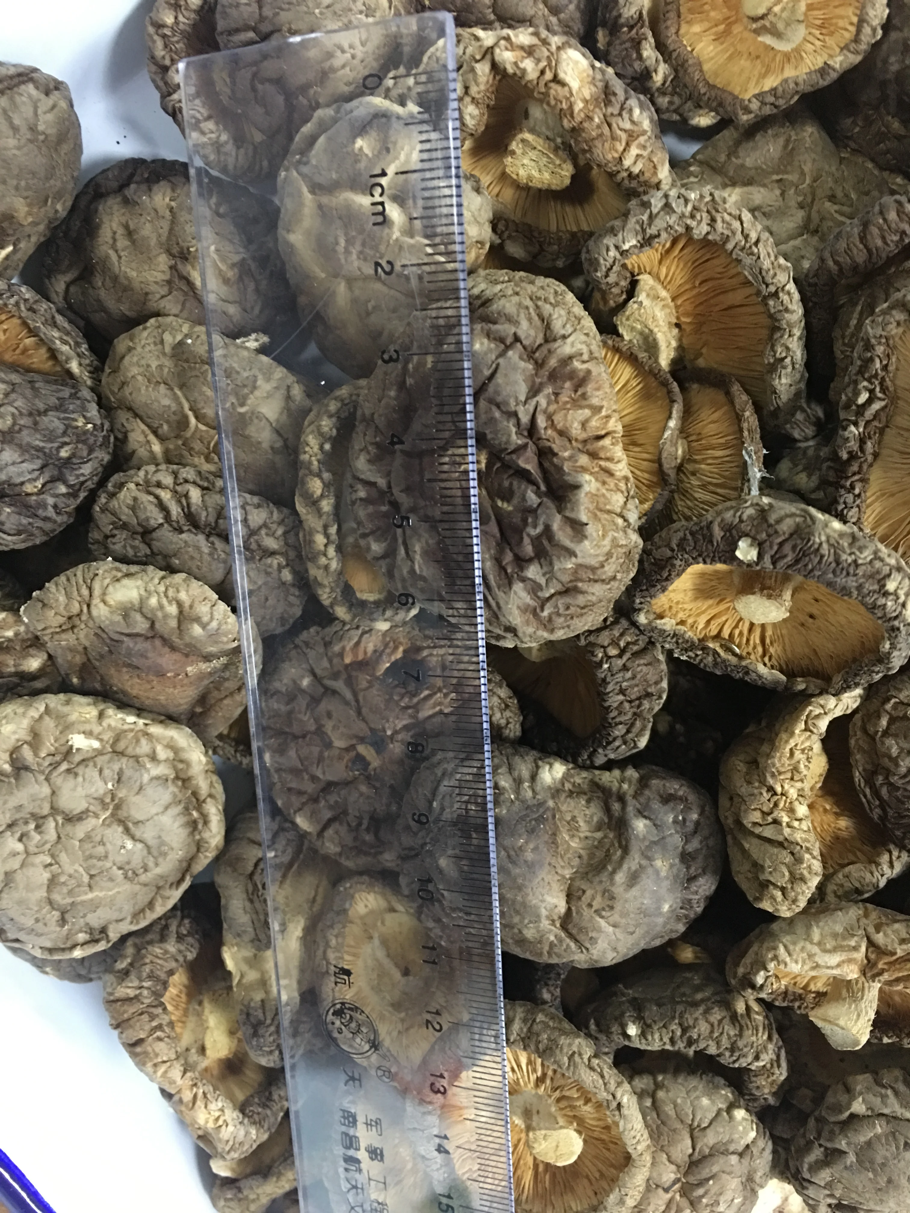 Healthy  Organic dried shiitake mushrooms factory price whole slice 1kg Lentinus edodes