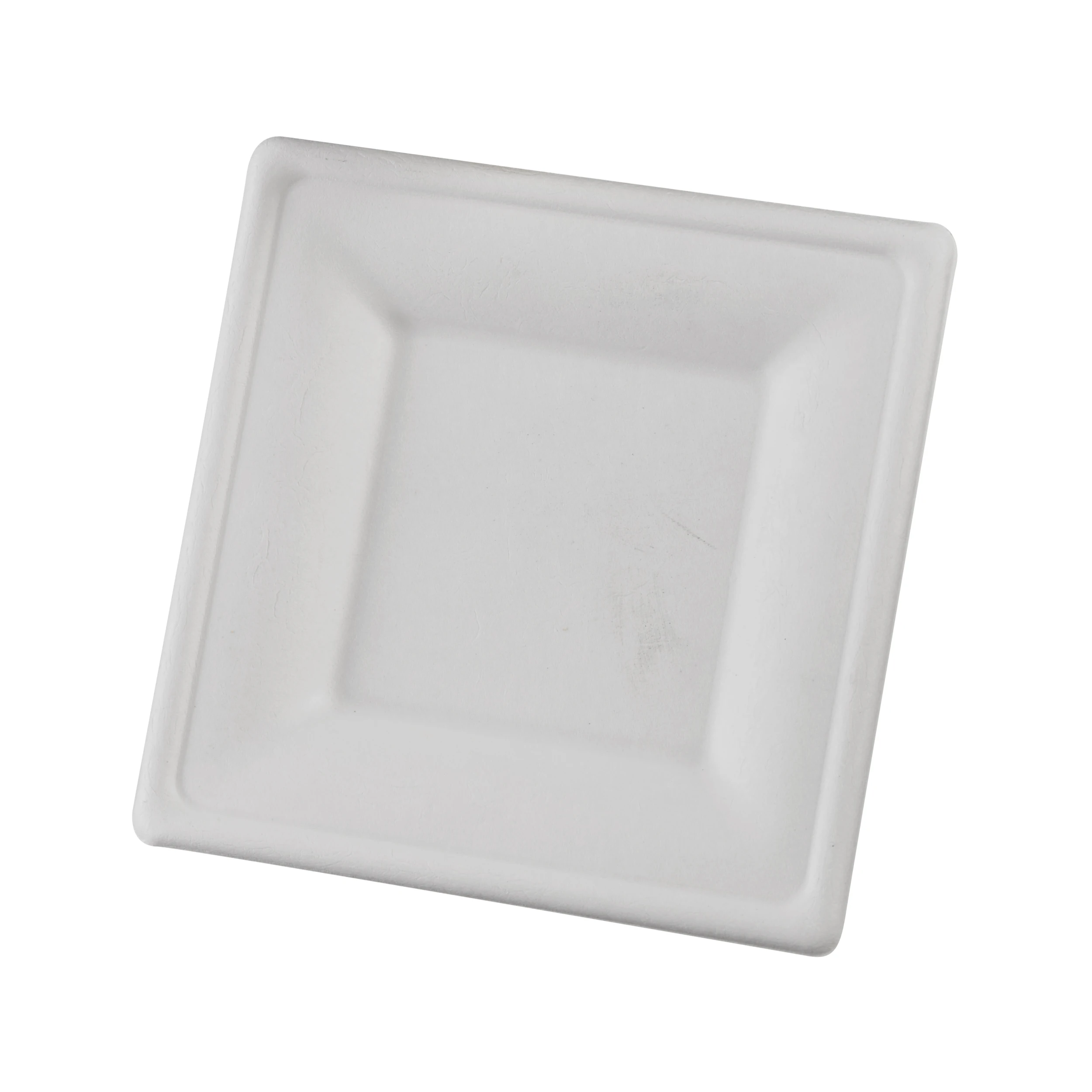 PFAS-free  Disposable Corn Sugarcane Bagasse Plates Disposable With Lid