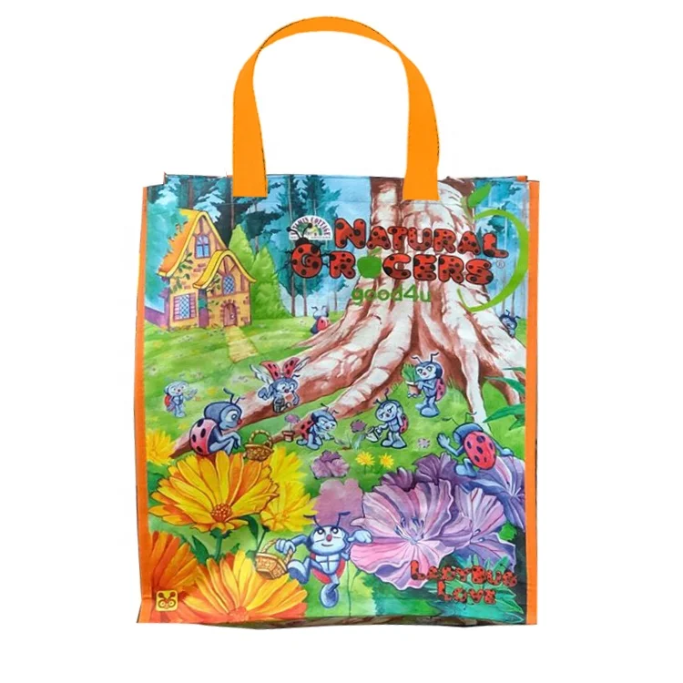 Sustainability Earth-loving Shop PP Woven Bolsa Natural Grocers Reusable Bag