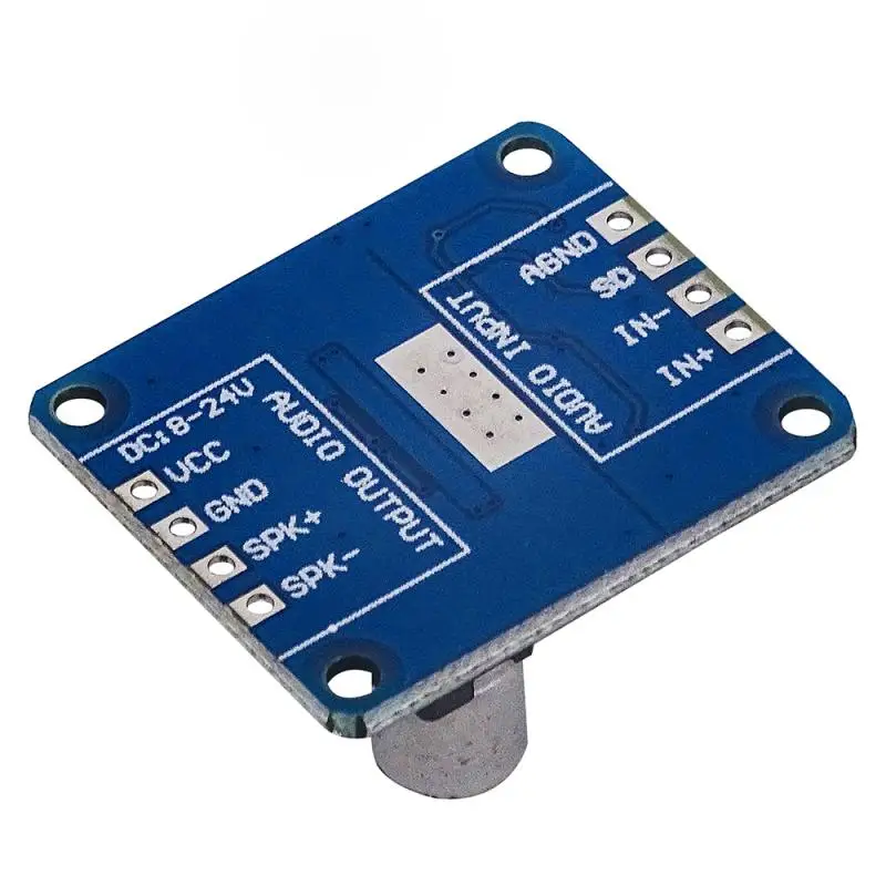 DY-AP3001 DC 8V-24V цифровой модуль усилителя мощности