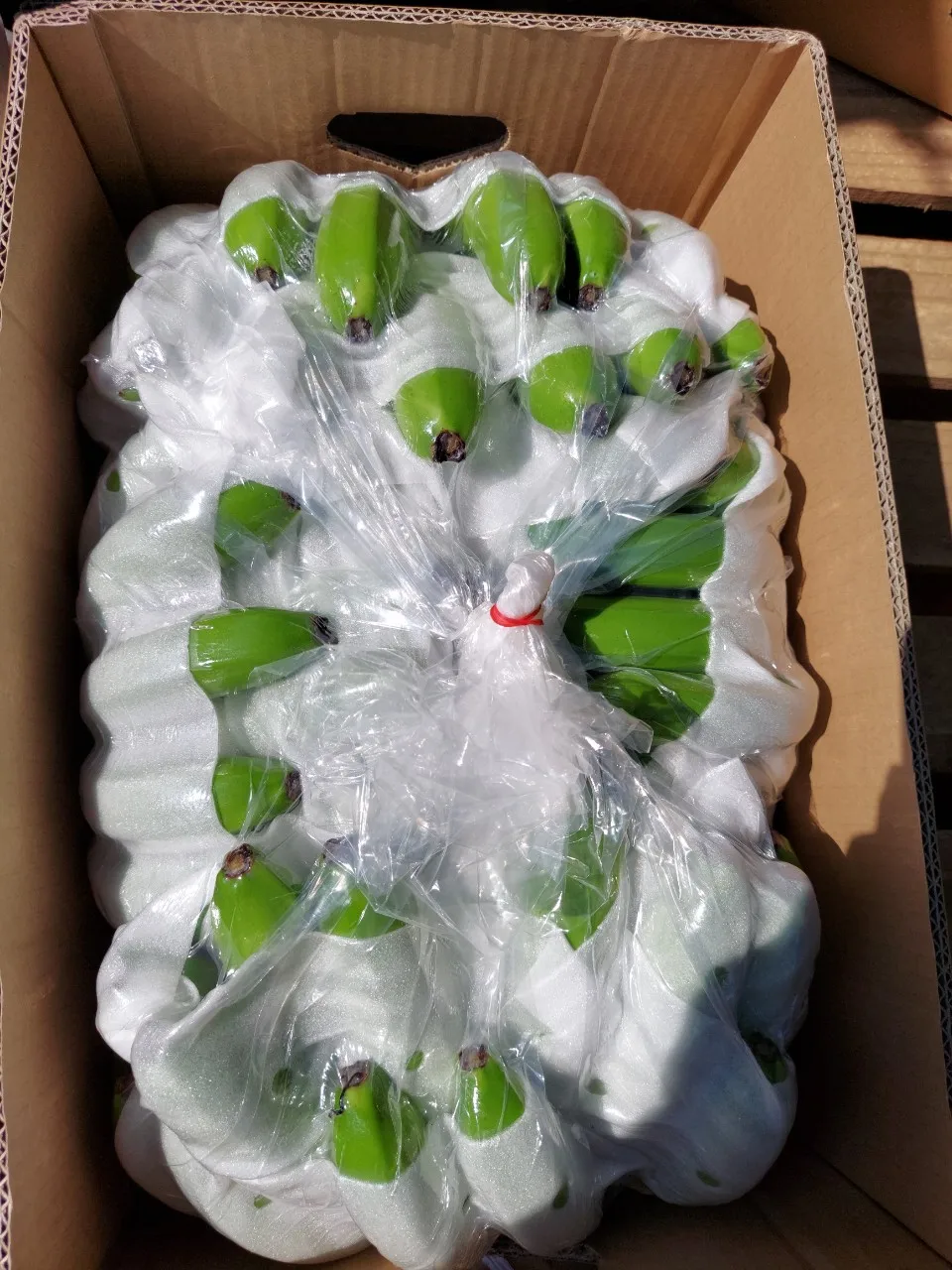 Cavendish Banana Best Brand Manufacturer Wholesaler Delicious Fresh Fruit From Vietnam Hot Sell Good Price Low MOQ