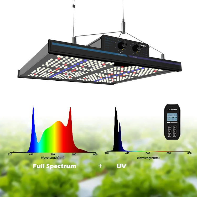 Eu Ru Stock Led Grow Light Kits High Ppfd Panel 660nm Full Spectrum 320w Led Grow Light