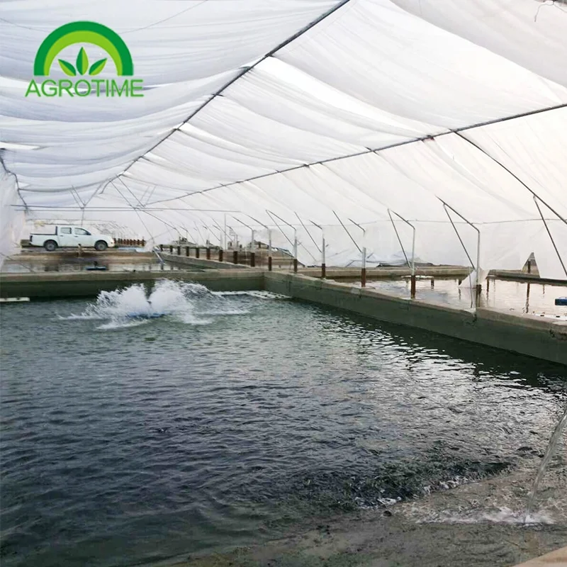 
Wind resistant one stop greenhouse parts greenhouse victorian green house single-span tunnel greenhouses 