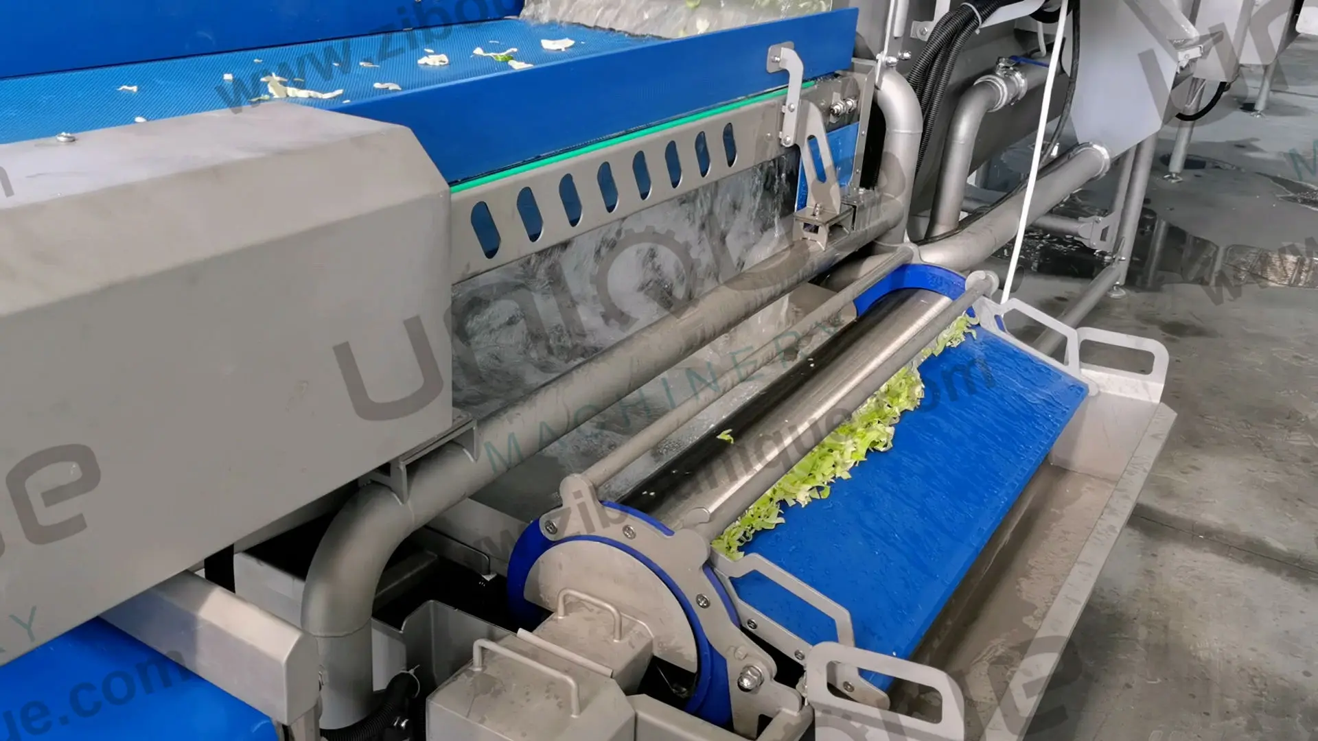 High efficiency fruit and vegetable cleaning machine salad vegetable washing machine