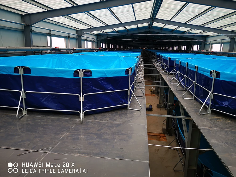 fish tank plastic farm fish plastic pond for fish square shape galvanized pipe frame customized capacity 2.4m3 - 50m3