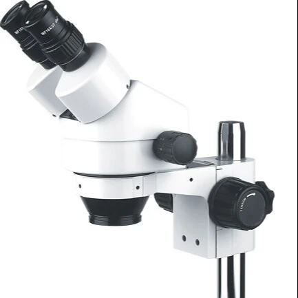 stereo microscopes B1