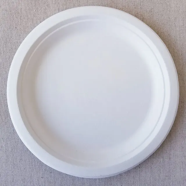 
Disposable Biodegradable Sugarcane Bagasse Tableware 