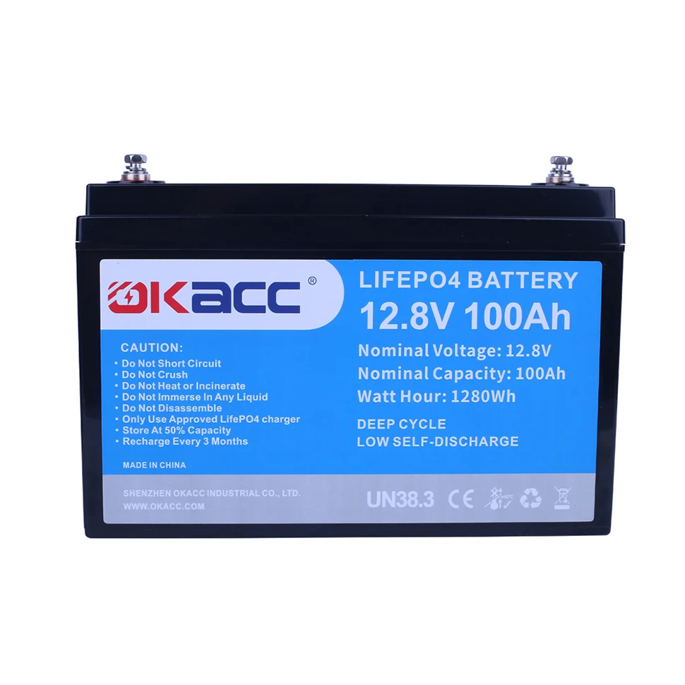 Deep Cycle Lithium Iron Phosphate Batteries Pack built-in BMS 12.8V  Batterie 12V100ah 12V 100Ah Lifepo4 Battery