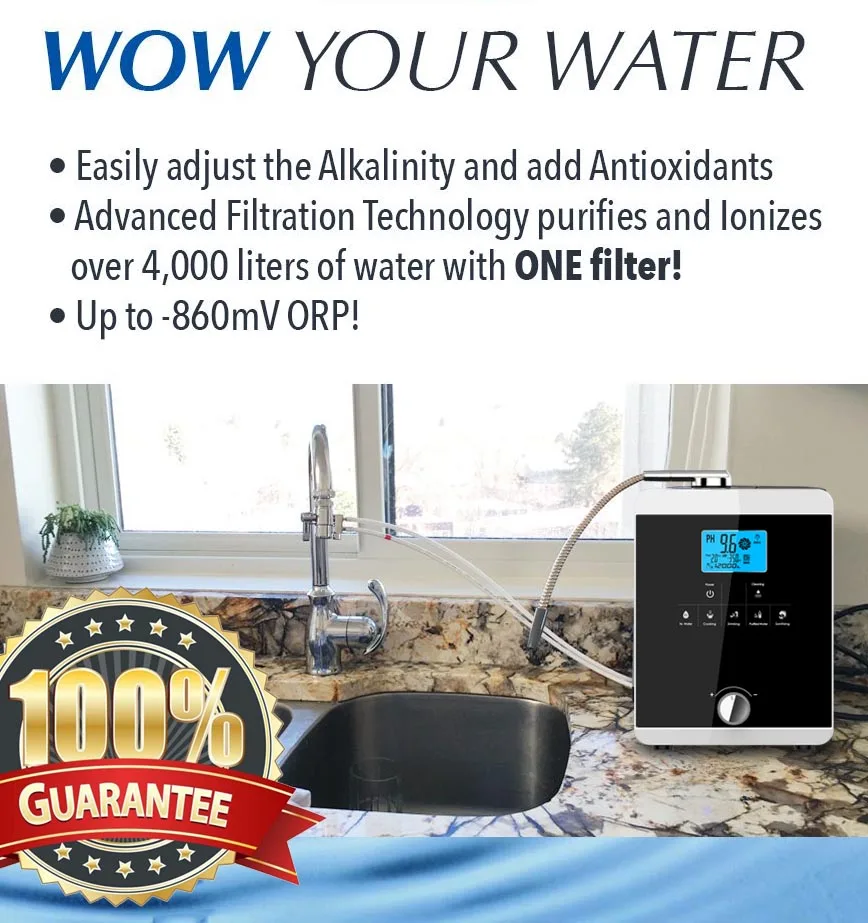 High-End 829 Commercial Multi-Functional Alkaline Water Ionizer Hydrogen Water Generator Filter Machine High Water Filters