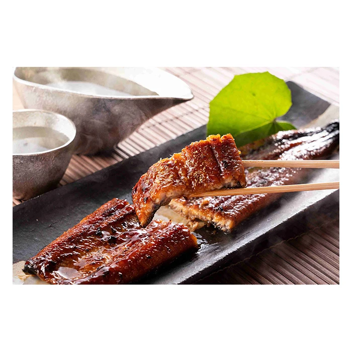 High quality wholesale product Japan fish seafood frozen fresh eel